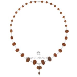Siddha Mala SM30 1–14 Mukhi Java Rudraksha front view with silver links and Ek Mukhi pendant