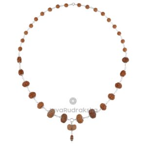 Siddha Mala SM31 1–14 Mukhi Java Rudraksha front view with silver links and Ek Mukhi pendant