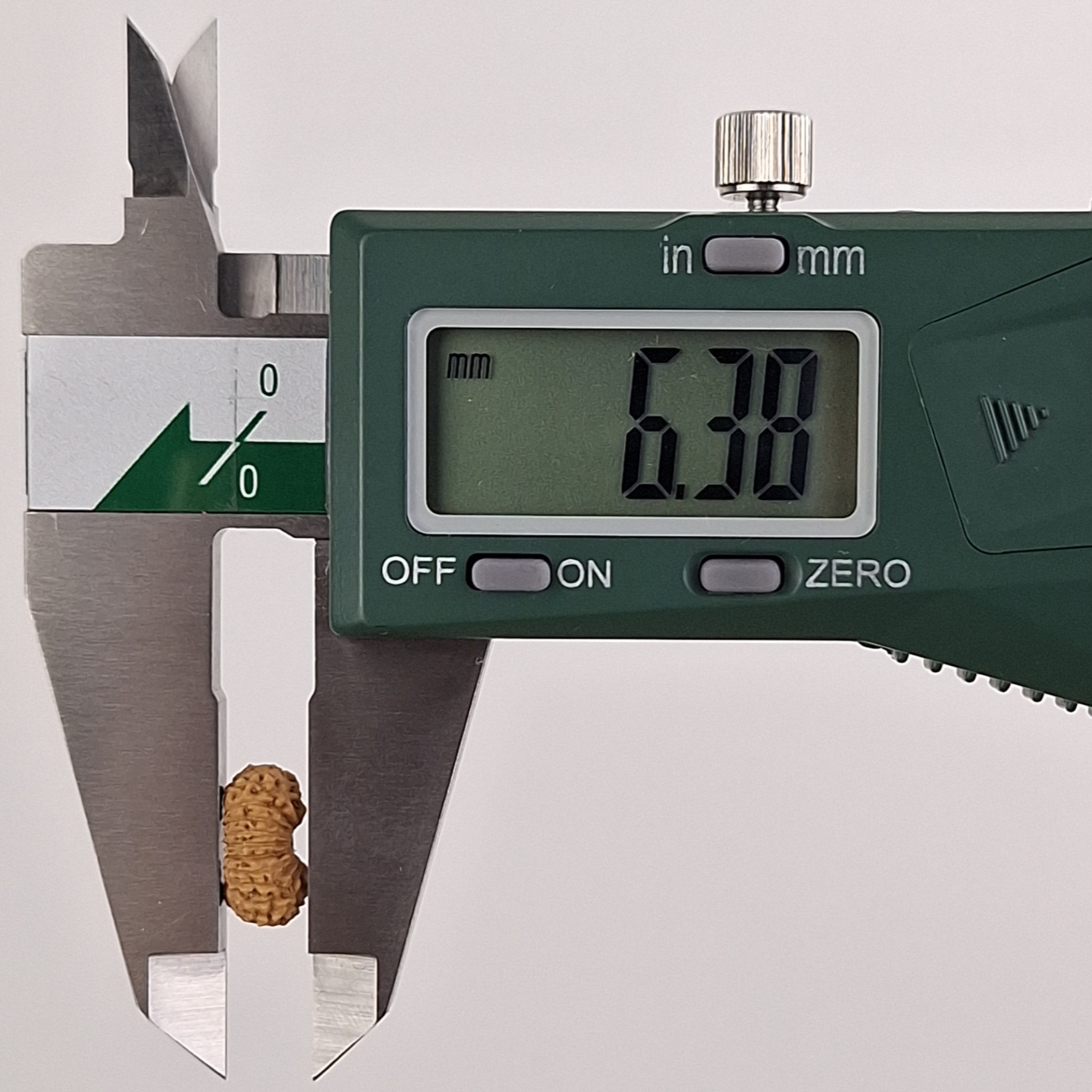 21 Mukhi Java Rudraksha 6.38 mm depth measurement