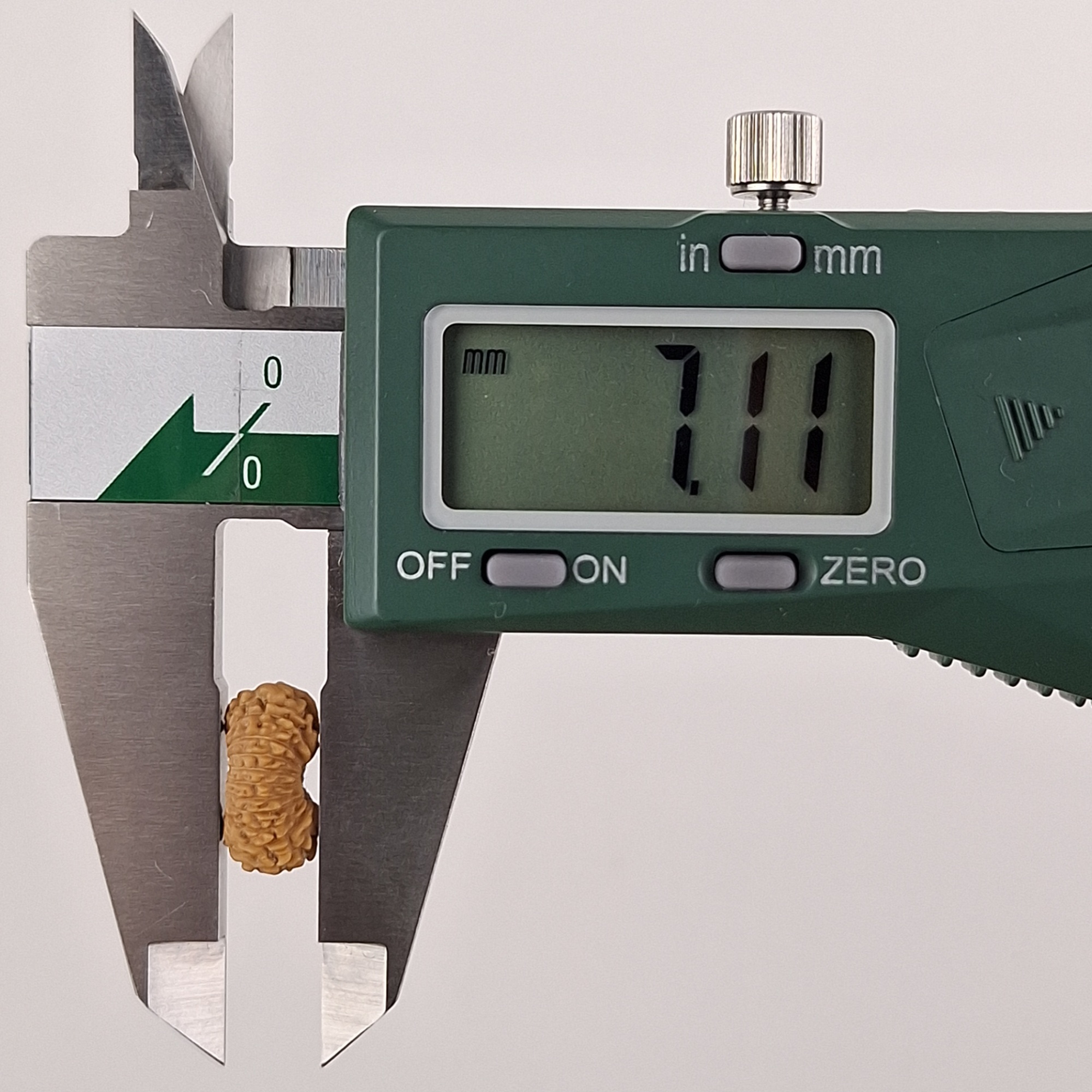 21 Mukhi Java Rudraksha 7.11 mm depth measurement