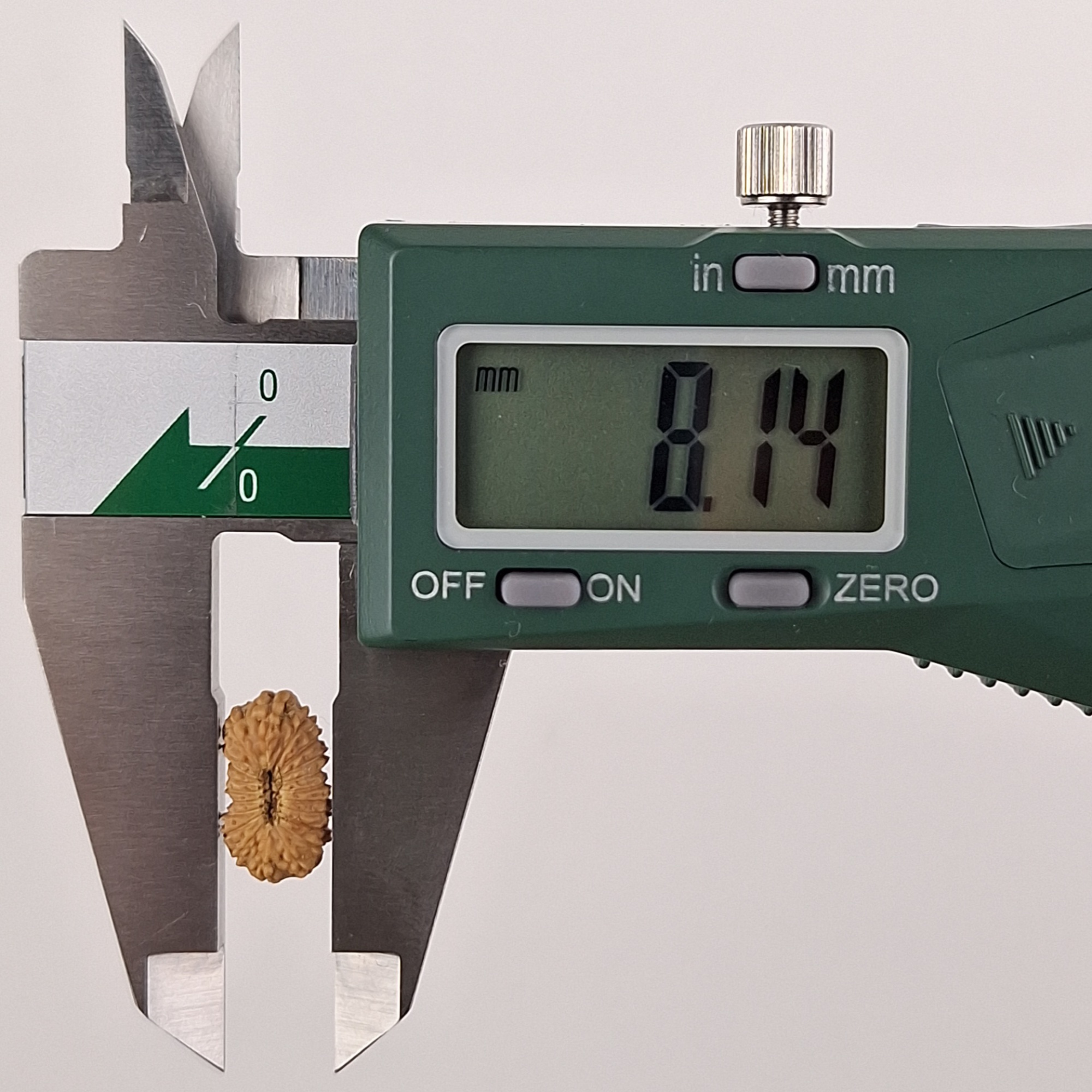 21 Mukhi Java Rudraksha 8.14 mm width measurement