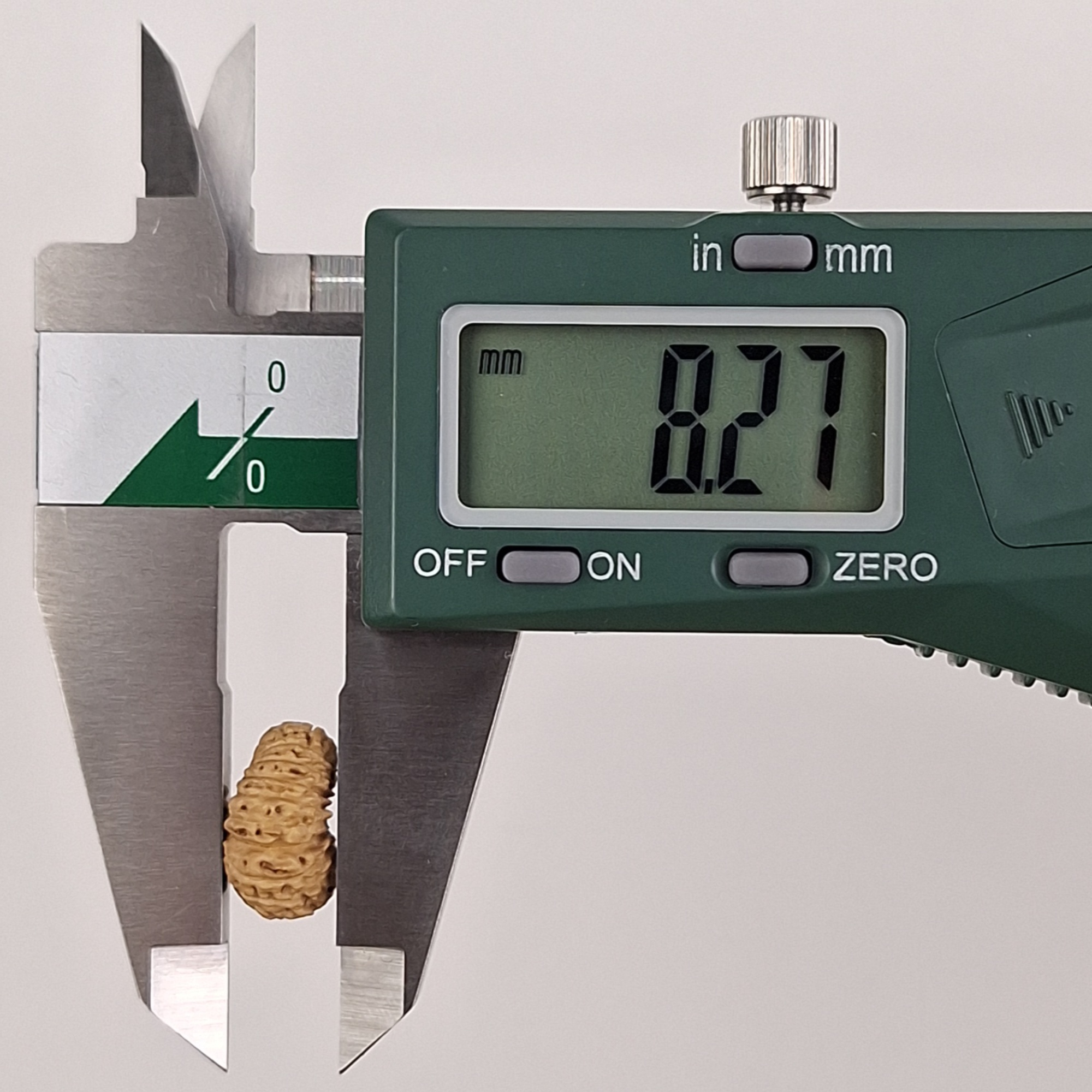 21 Mukhi Java Rudraksha 8.27 mm depth measurement