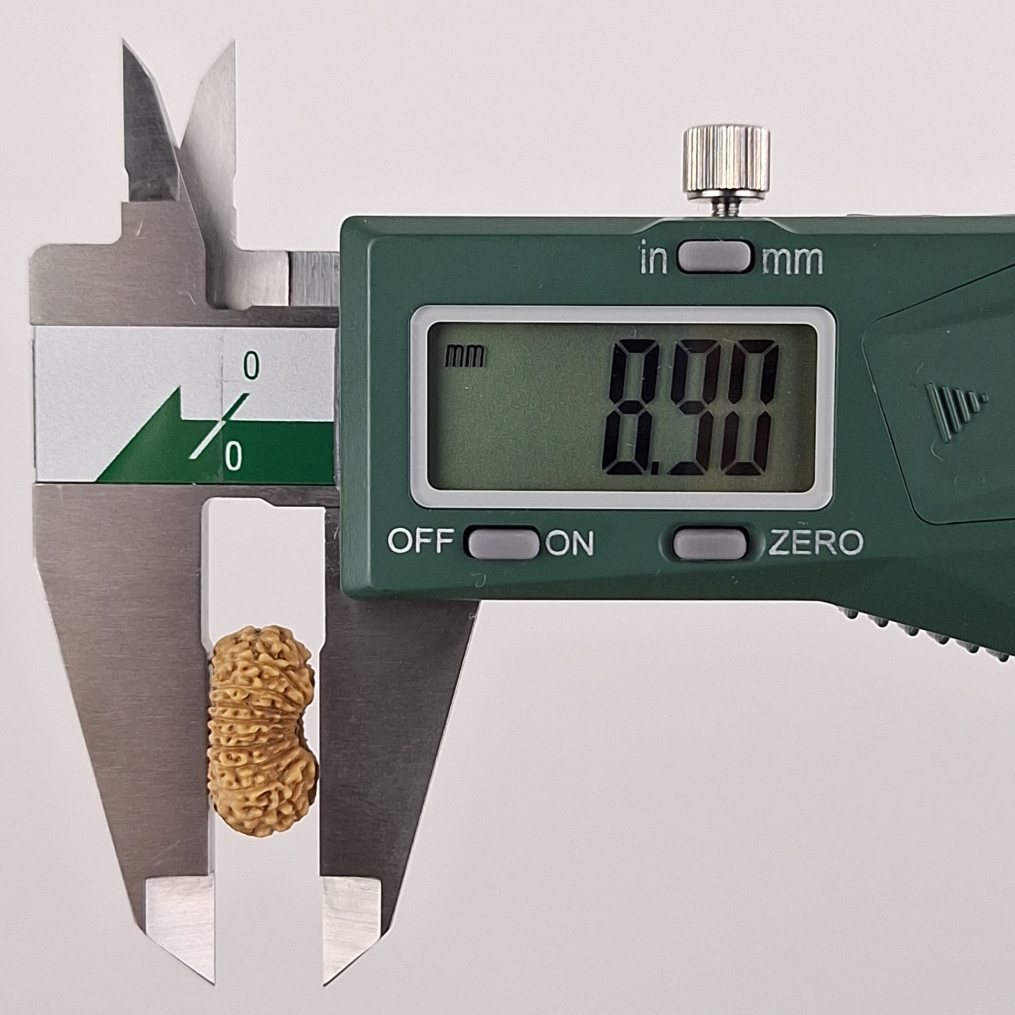 21 Mukhi Java Rudraksha 8.90 mm depth measurement