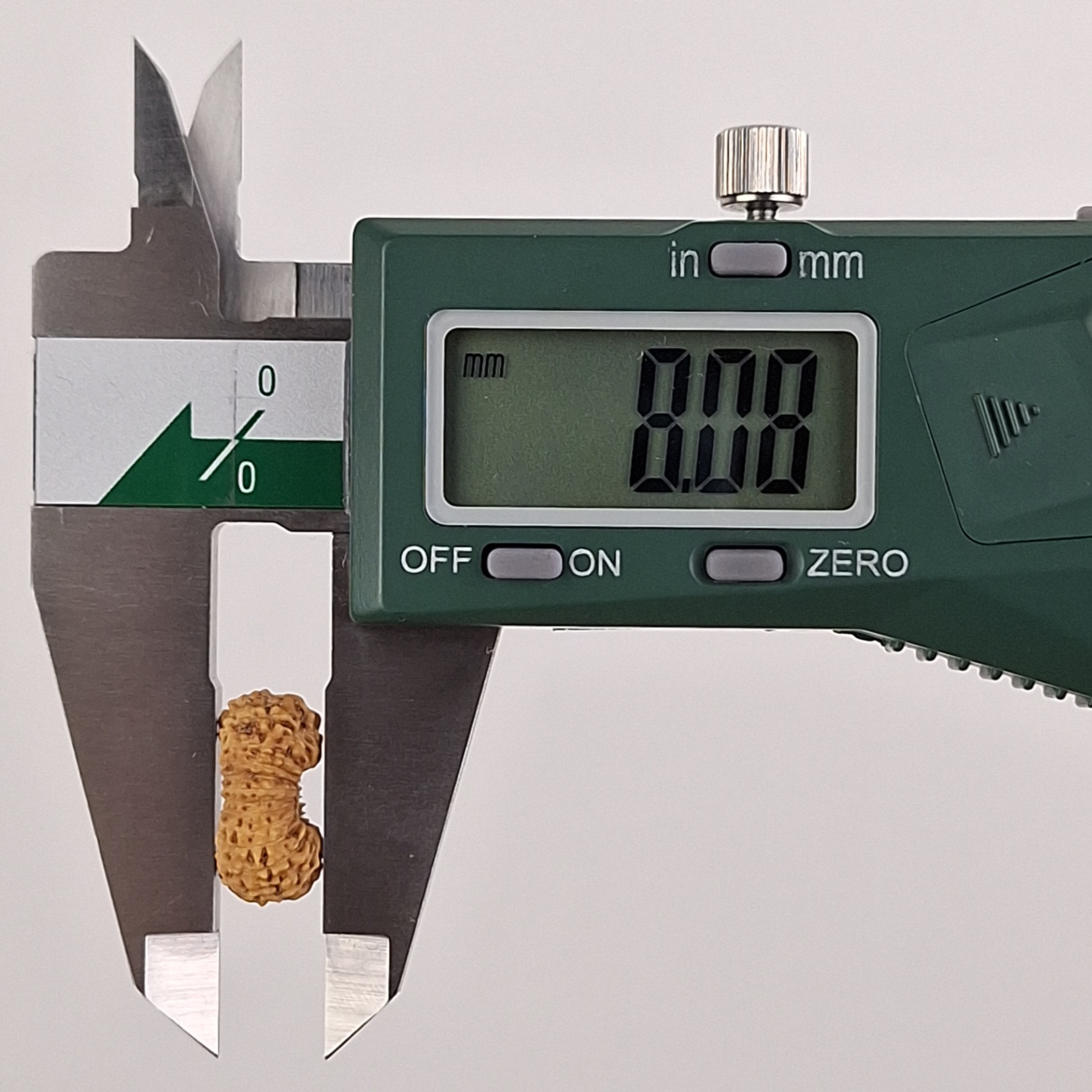 24 Mukhi Java Rudraksha 8.08 mm depth measurement