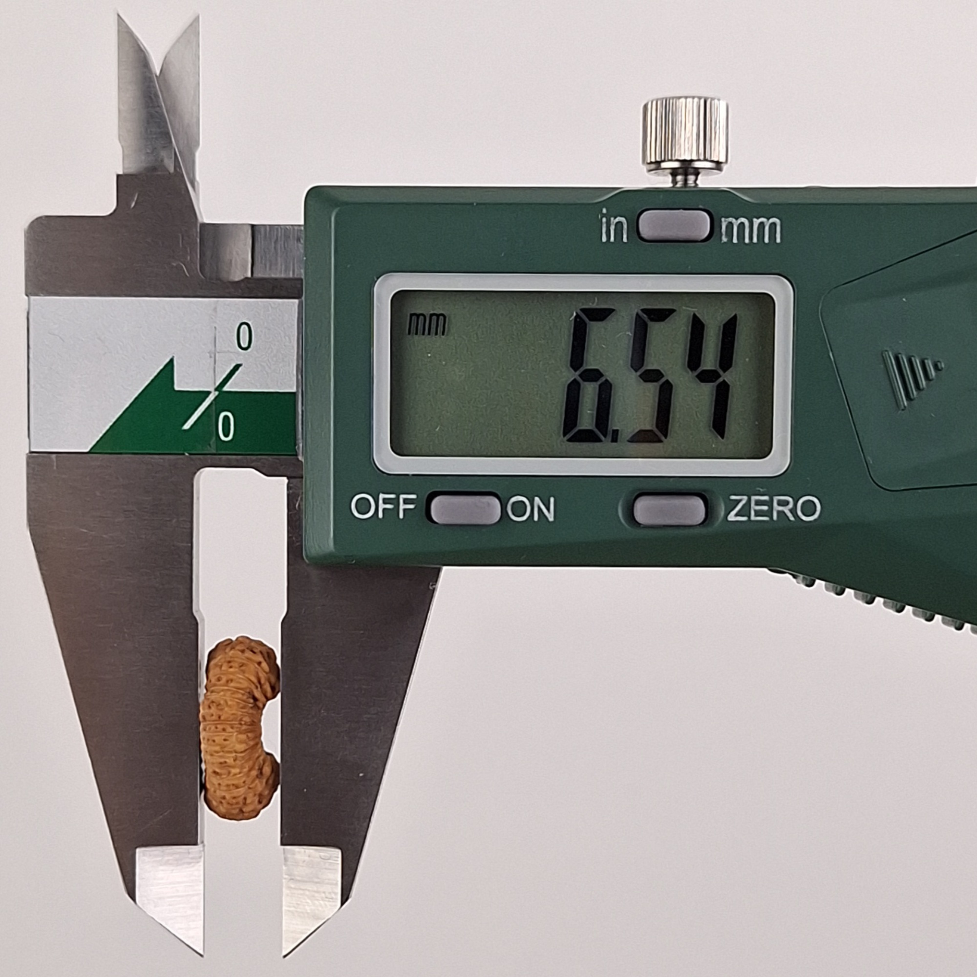 28 Mukhi Java Rudraksha 6.54 mm depth measurement