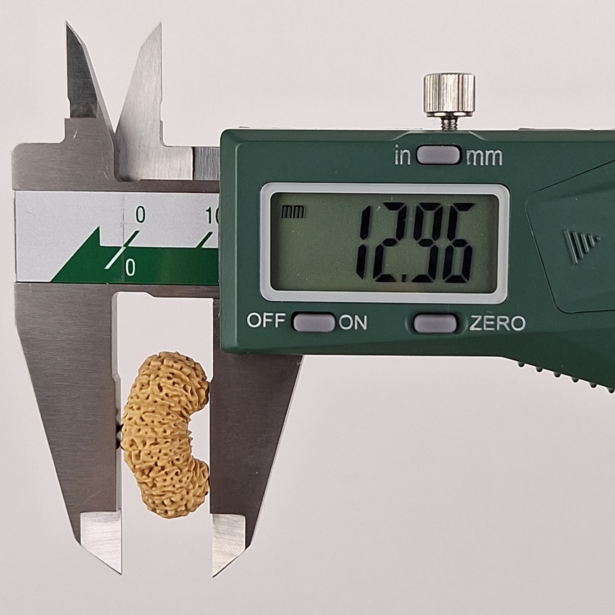 28 Mukhi Java Rudraksha 12.96 mm depth measurement