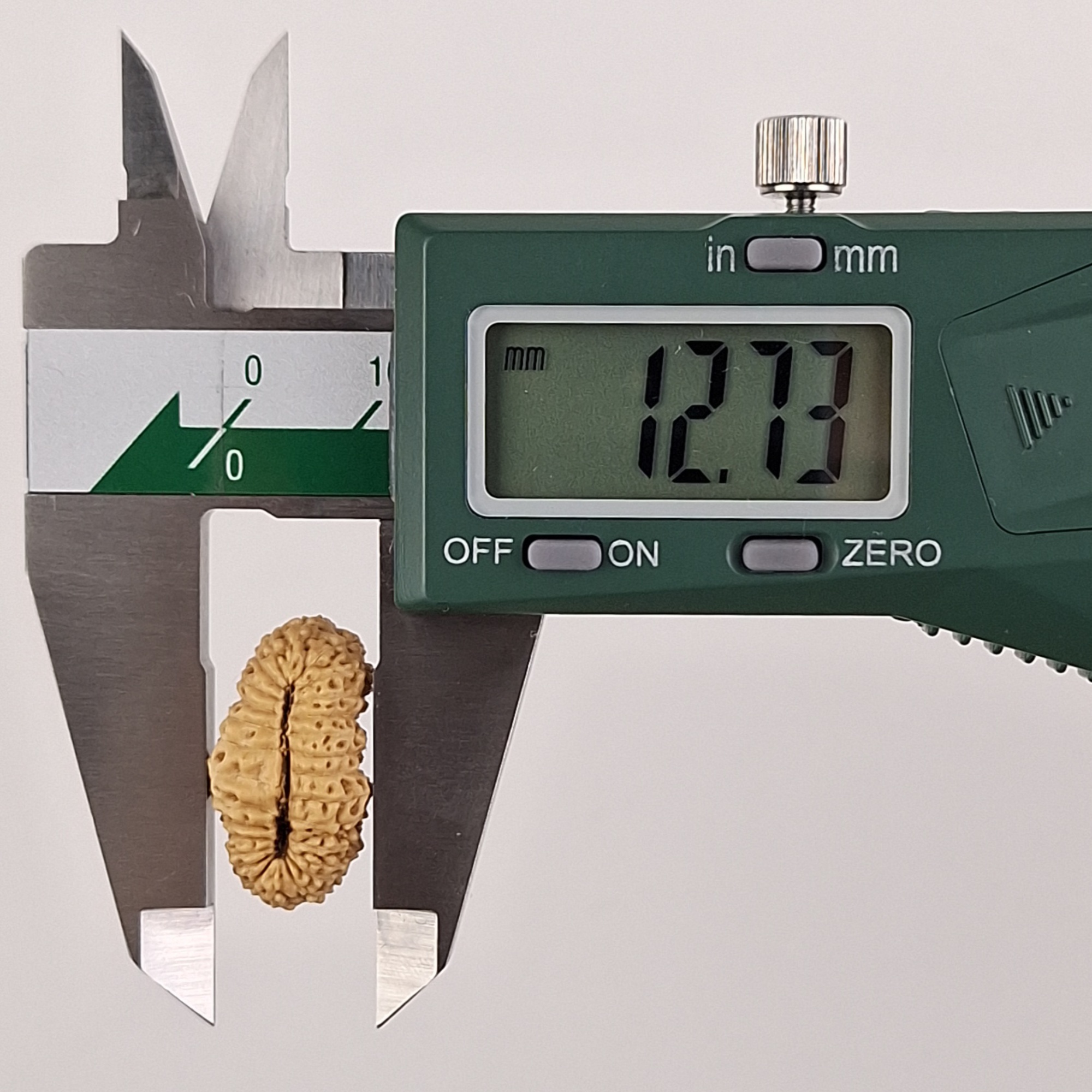 28 Mukhi Java Rudraksha 12.73 mm width measurement