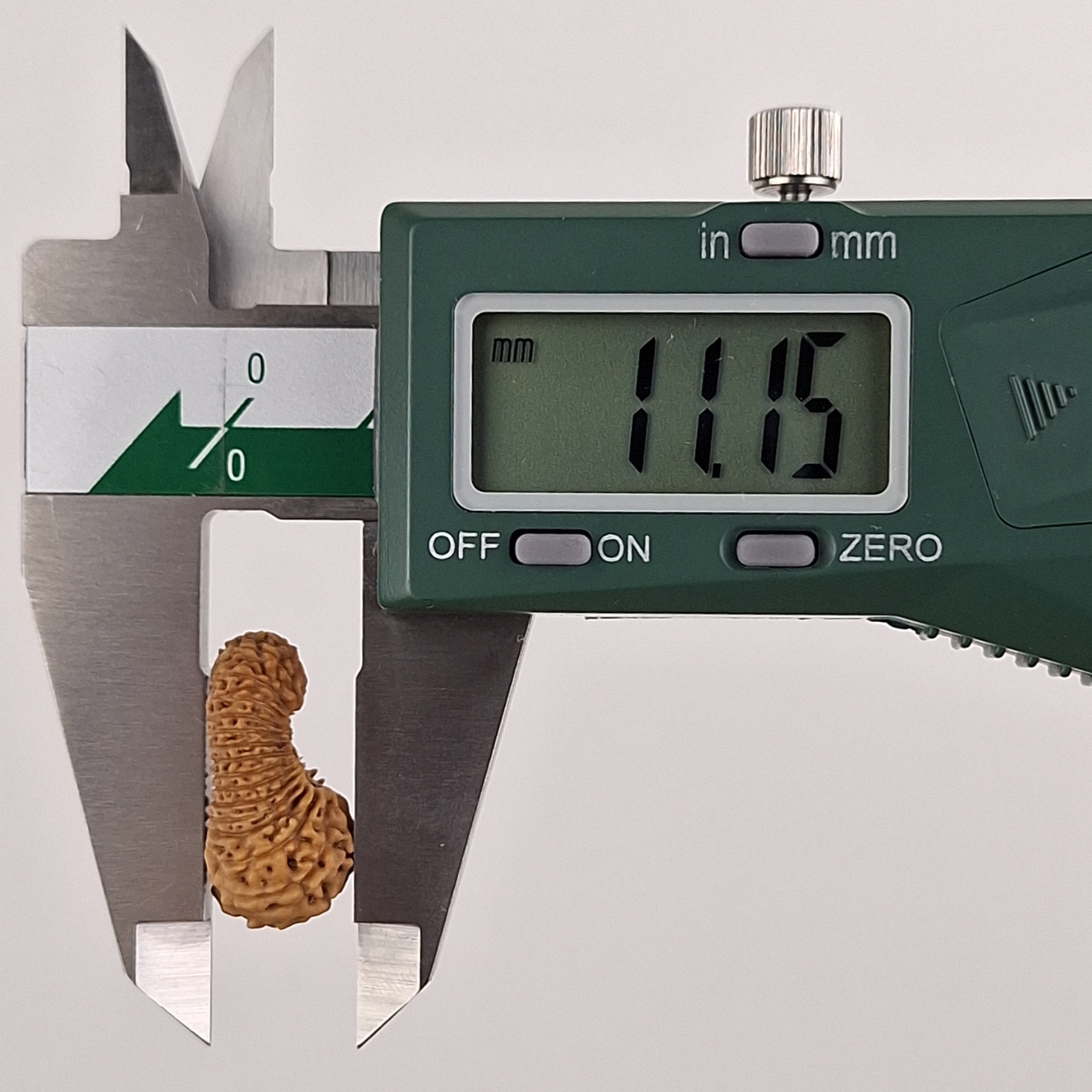 32 Mukhi Java Rudraksha 11.15 mm depth measurement