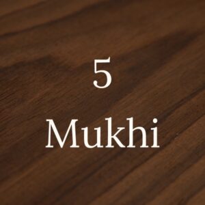 5 Mukhi Category