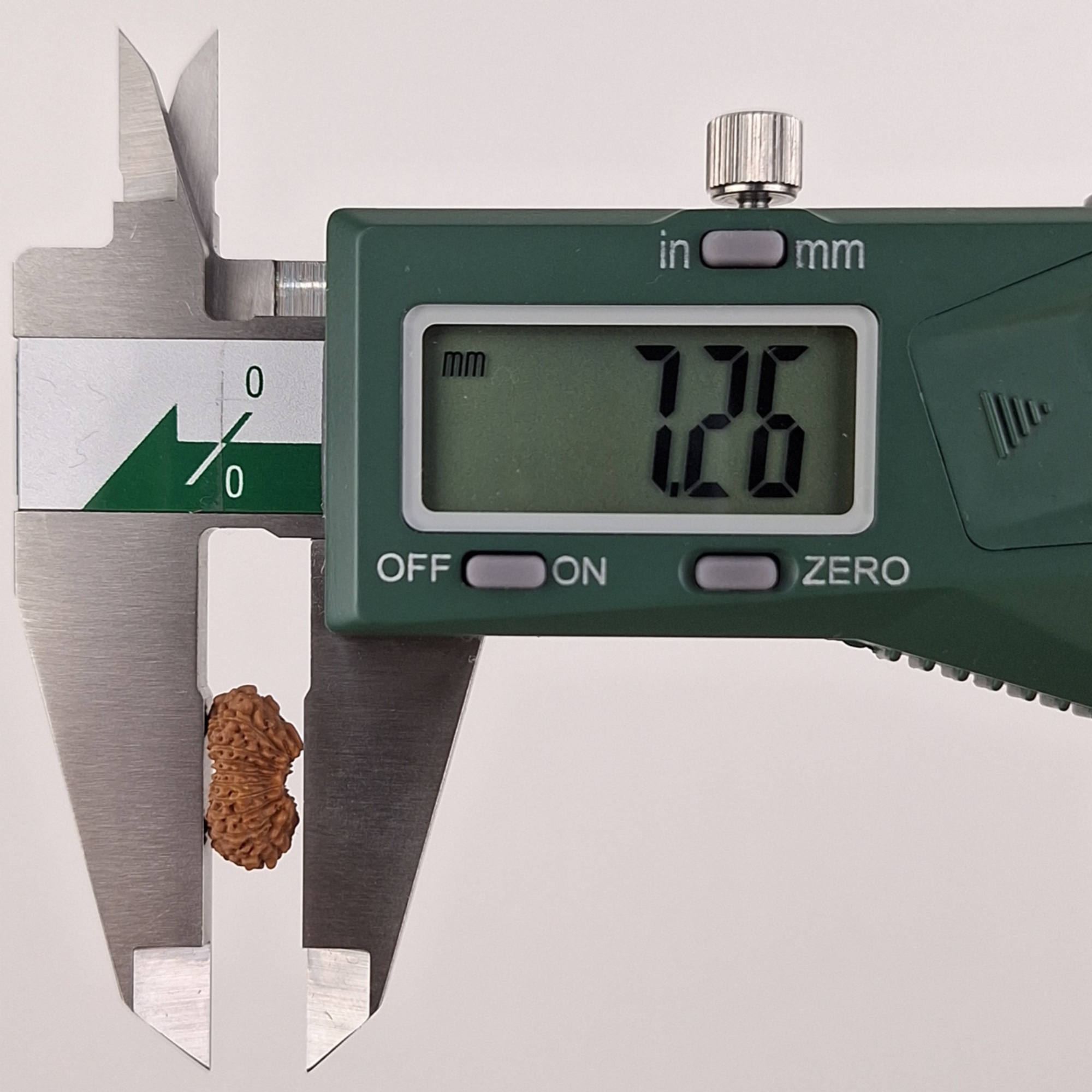 21 Mukhi Java Rudraksha 7.26 mm depth measurement