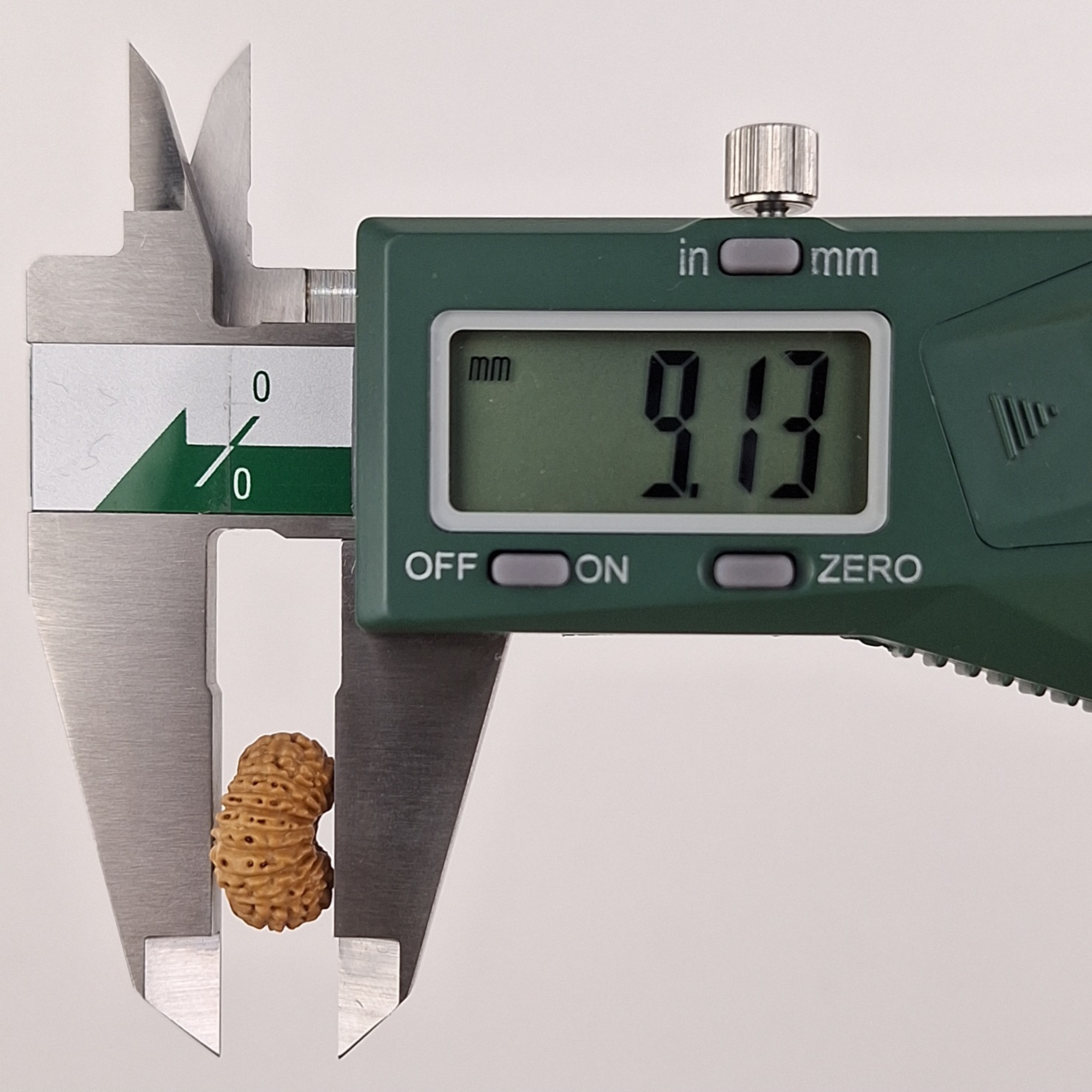 21 Mukhi Java Rudraksha 9.13 mm depth measurement