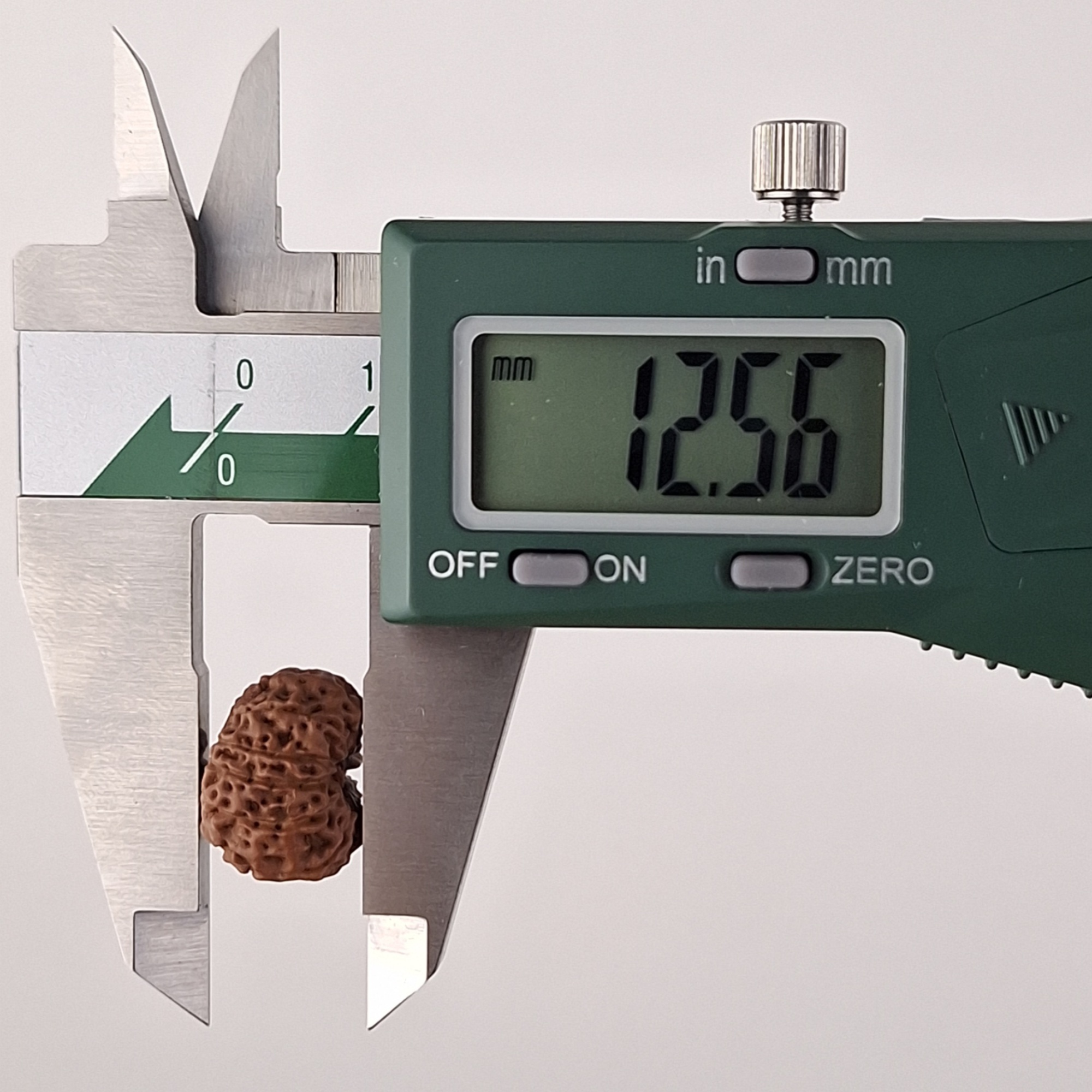 11 Mukhi Java Rudraksha 12.56 mm depth measurement