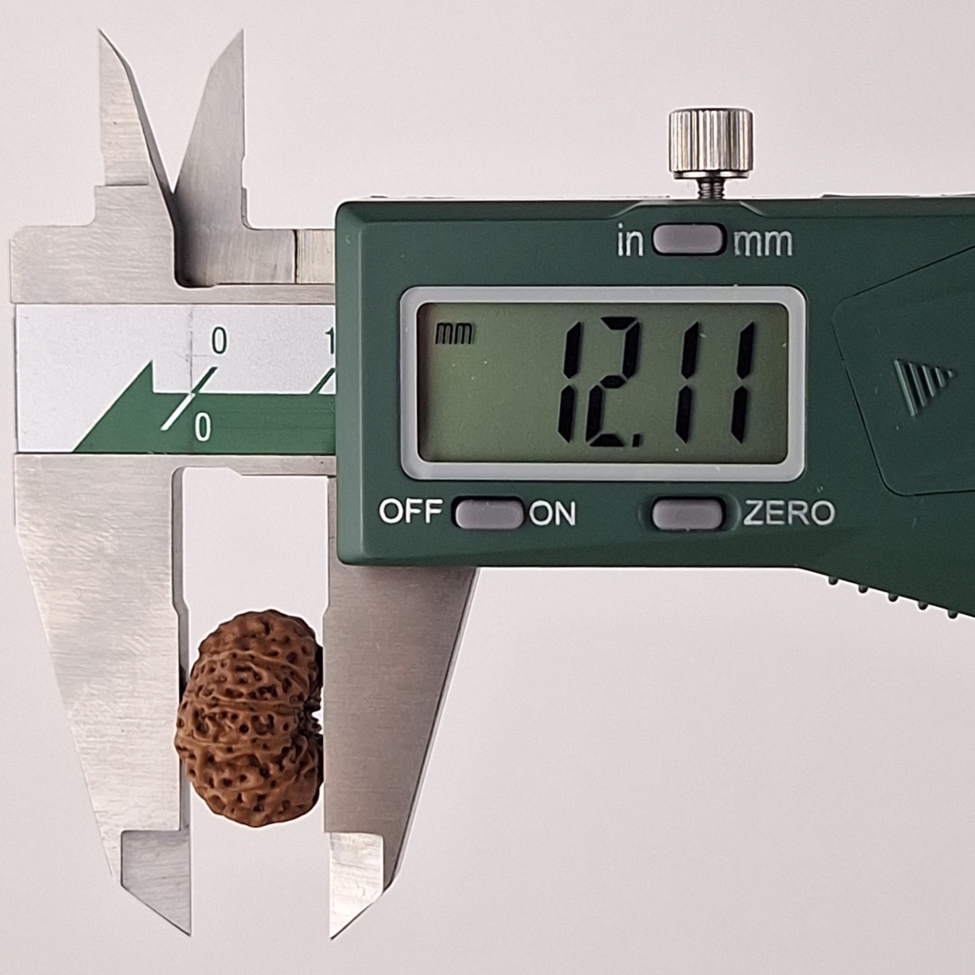 11 Mukhi Java Rudraksha 12.11 mm depth measurement