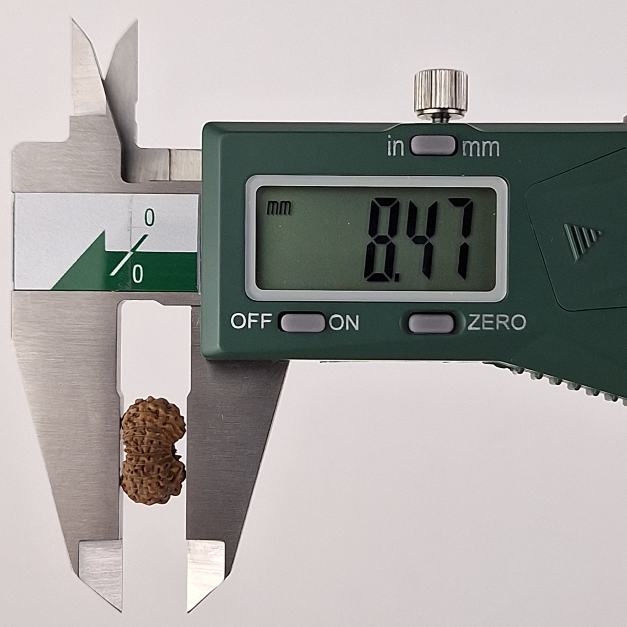 17 Mukhi Java Rudraksha 8.47 mm depth measurement