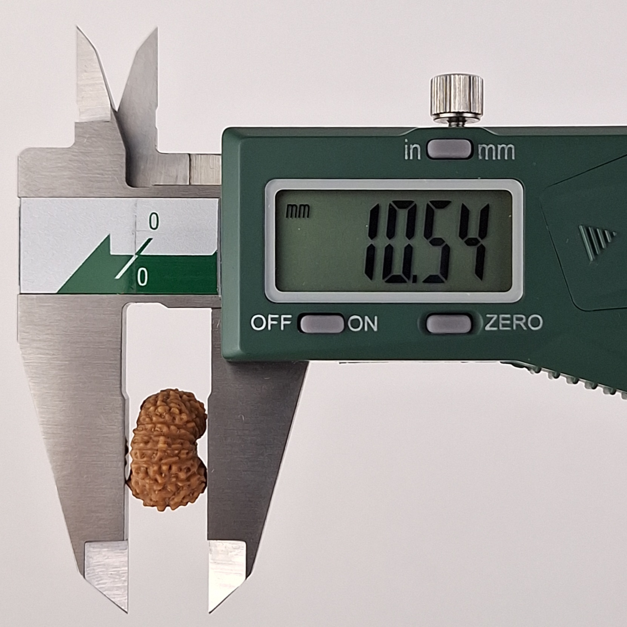 17 Mukhi Java Rudraksha 10.54 mm depth measurement