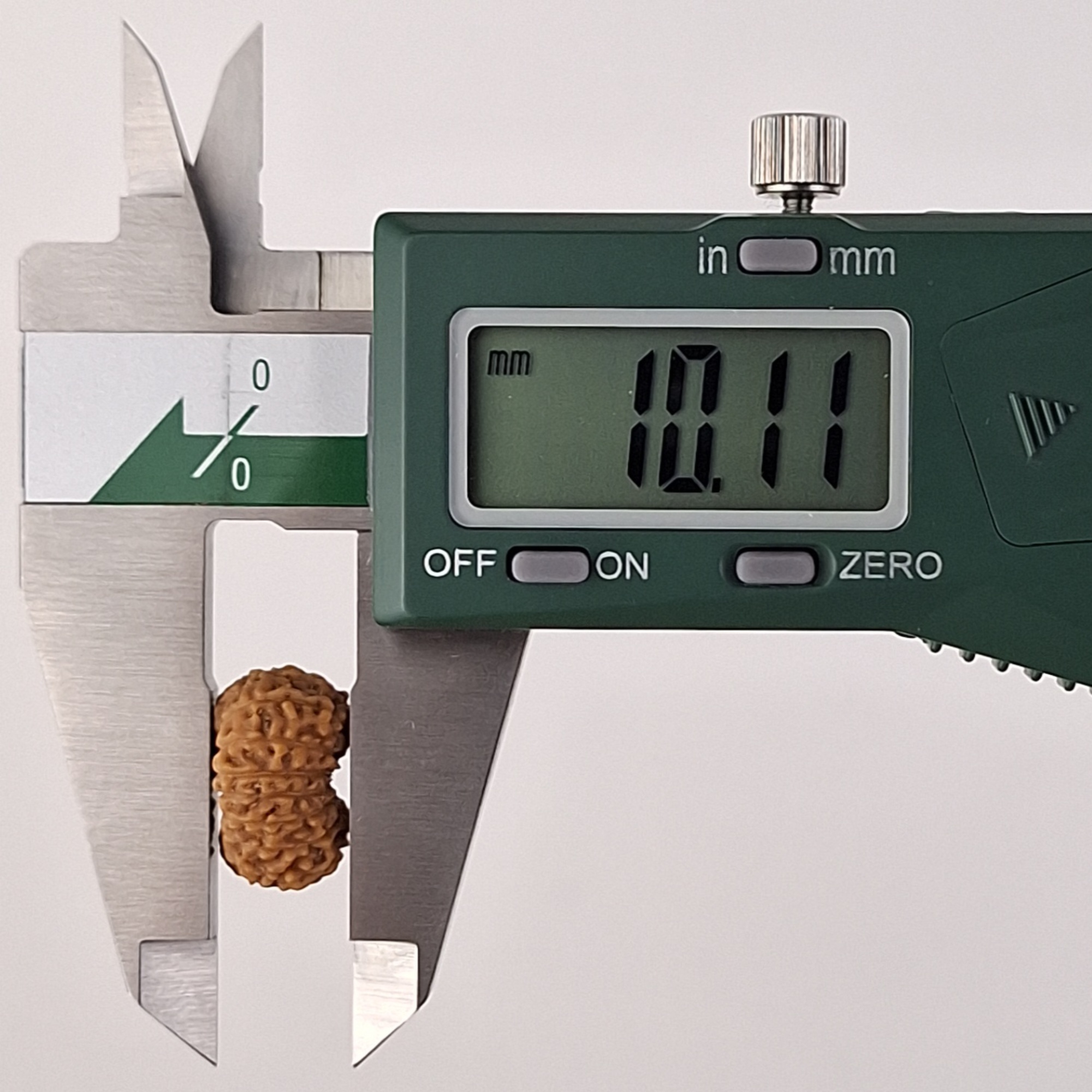 17 Mukhi Java Rudraksha 10.11 mm depth measurement