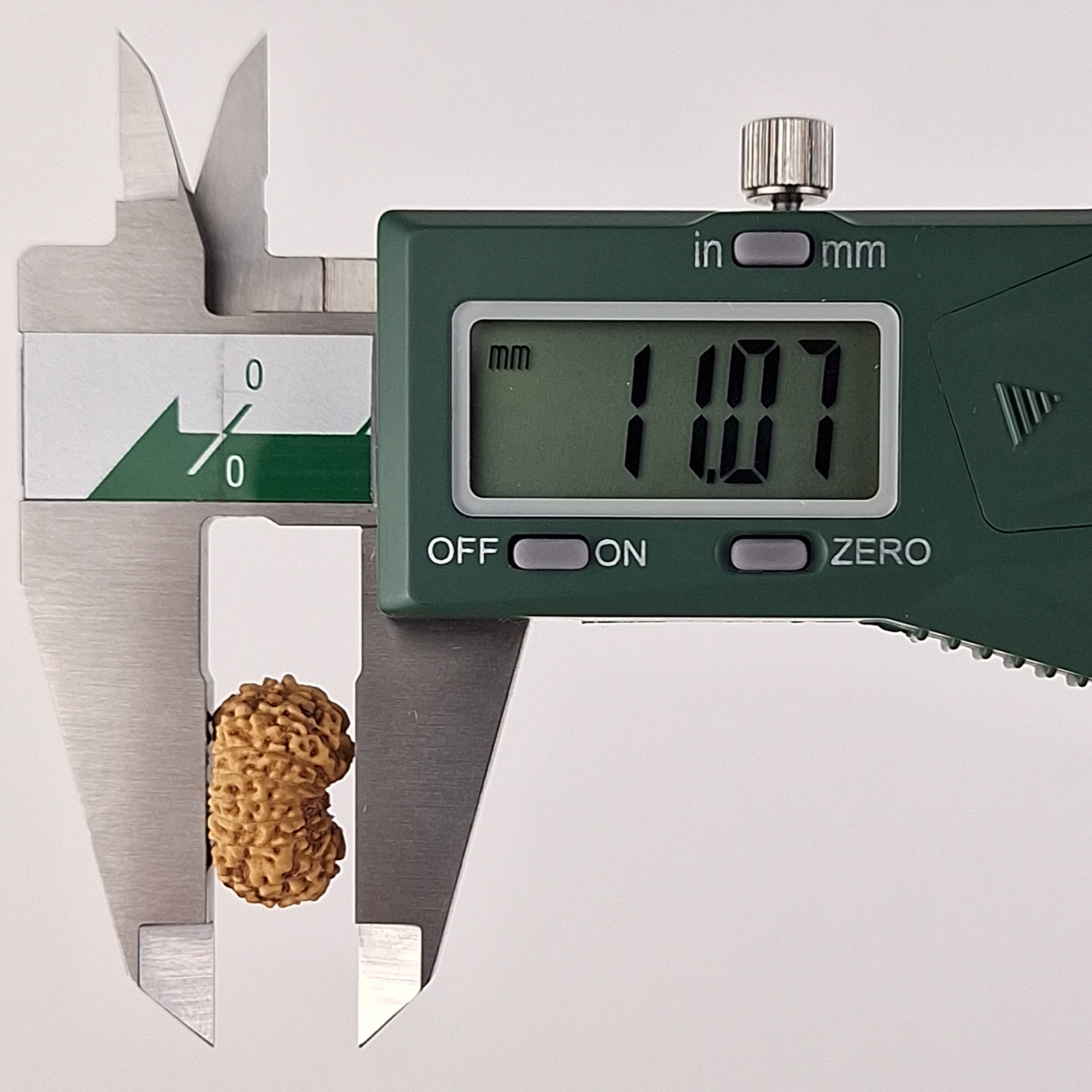 17 Mukhi Java Rudraksha 11.07 mm depth measurement
