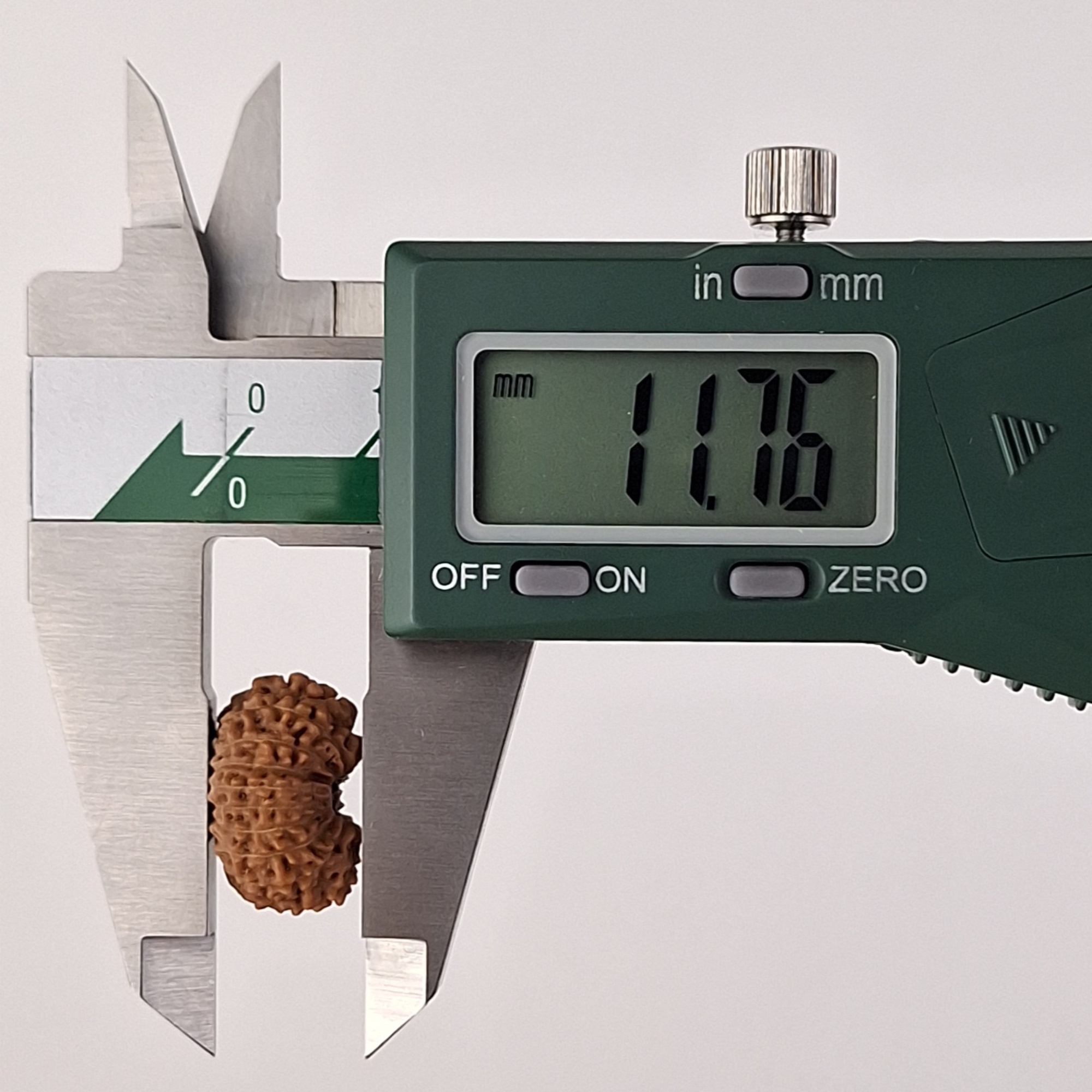 17 Mukhi Java Rudraksha 11.76 mm depth measurement