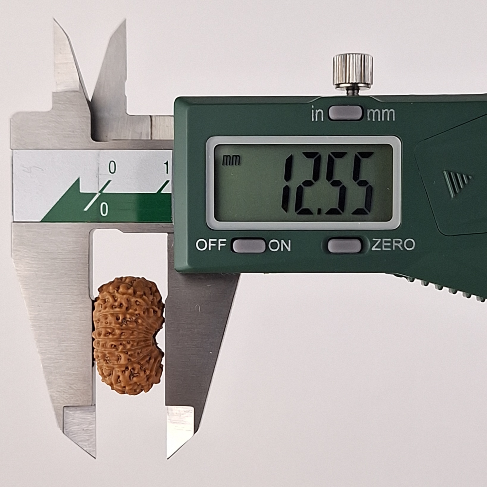 17 Mukhi Java Rudraksha 12.55 mm depth measurement