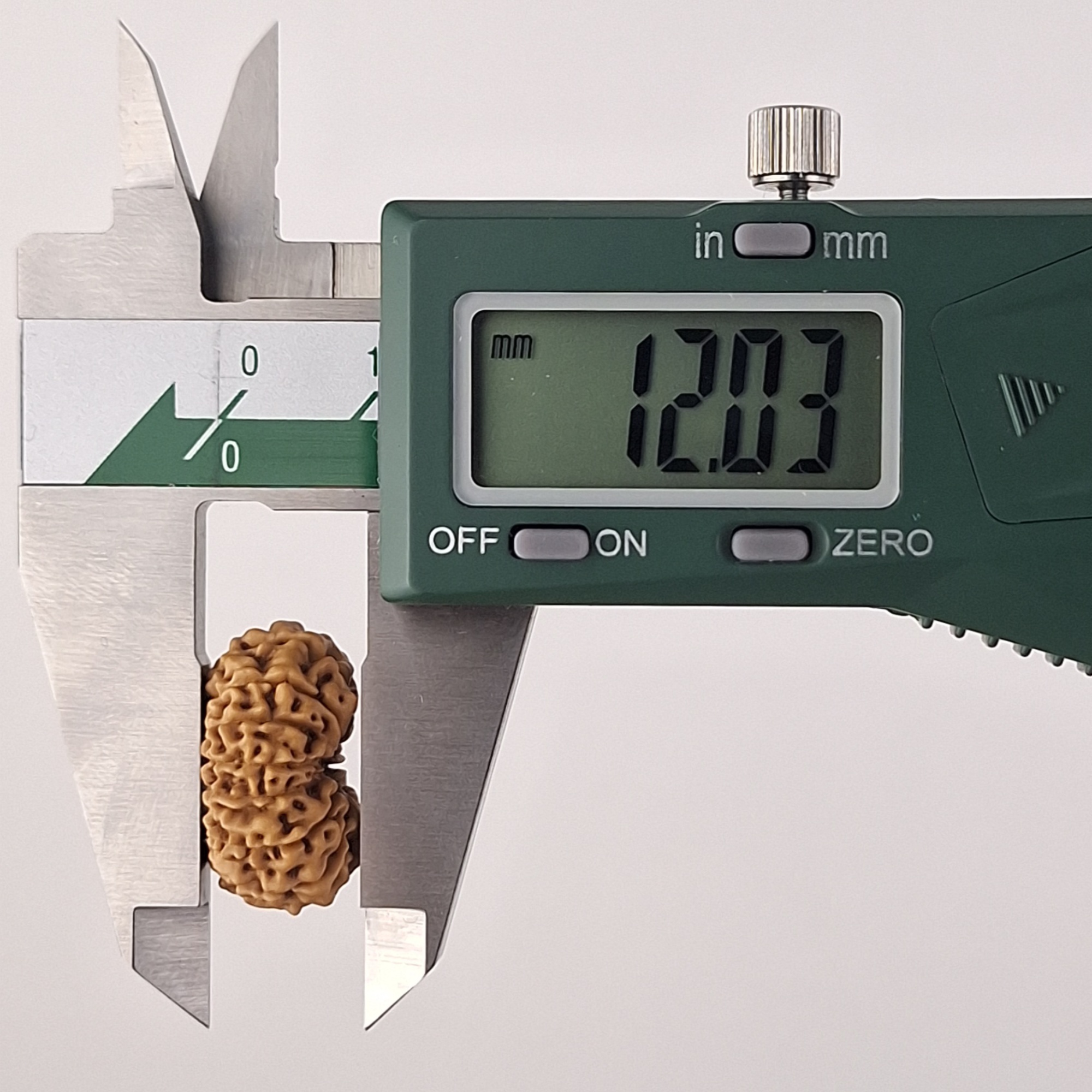 14 Mukhi Java Rudraksha 12.03 mm depth measurement