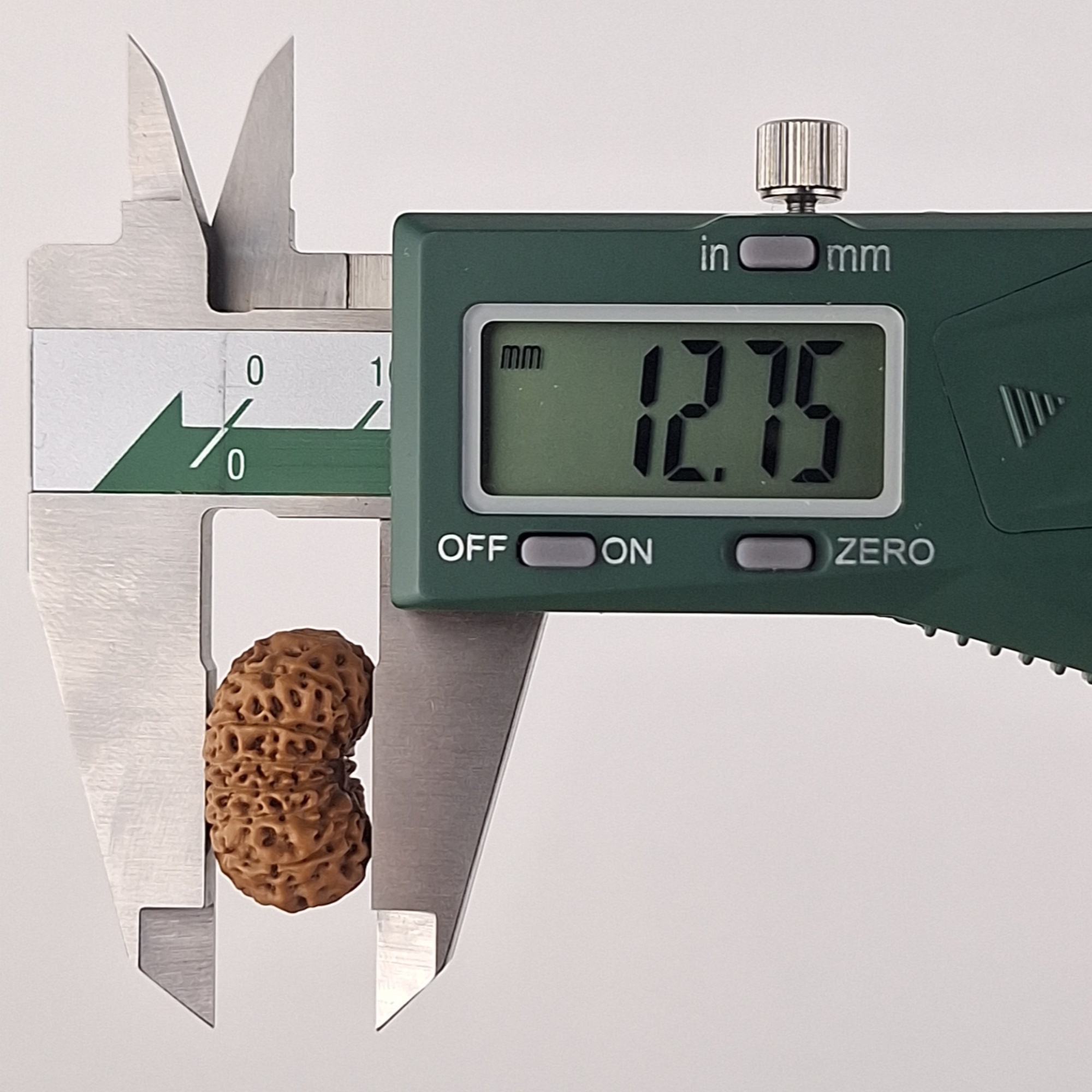 15 Mukhi Java Rudraksha 12.75 mm depth measurement