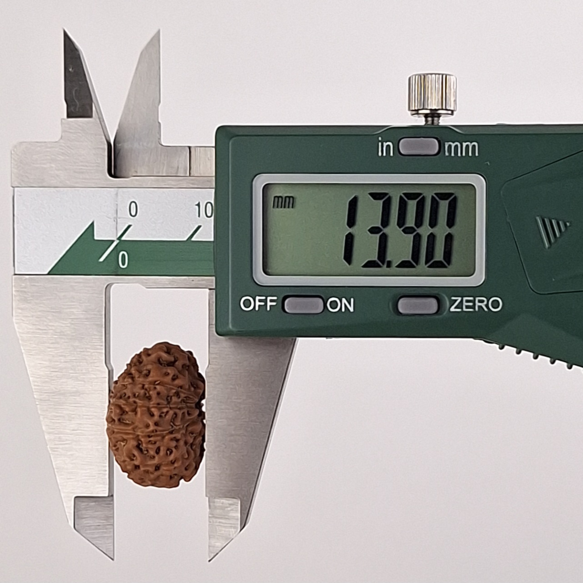 12 Mukhi Java Rudraksha 13.90 mm depth measurement