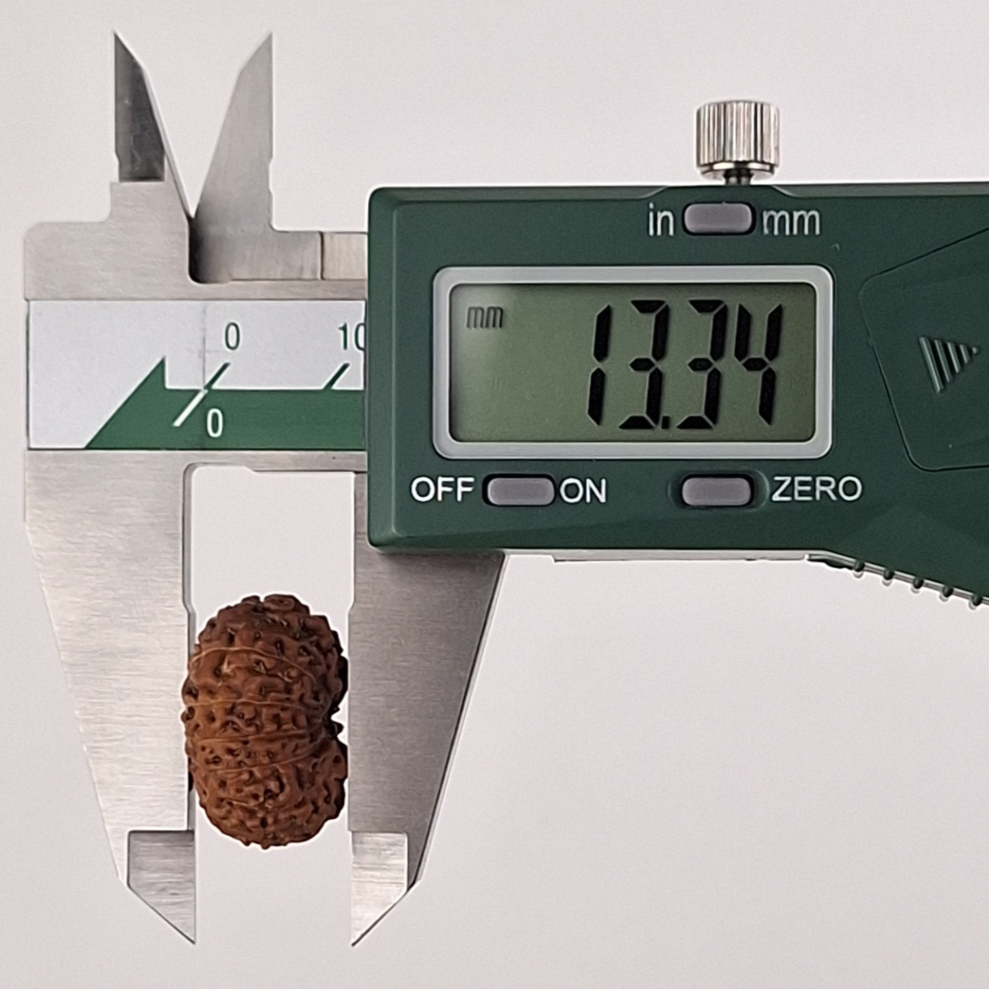 12 Mukhi Java Rudraksha 13.34 mm depth measurement