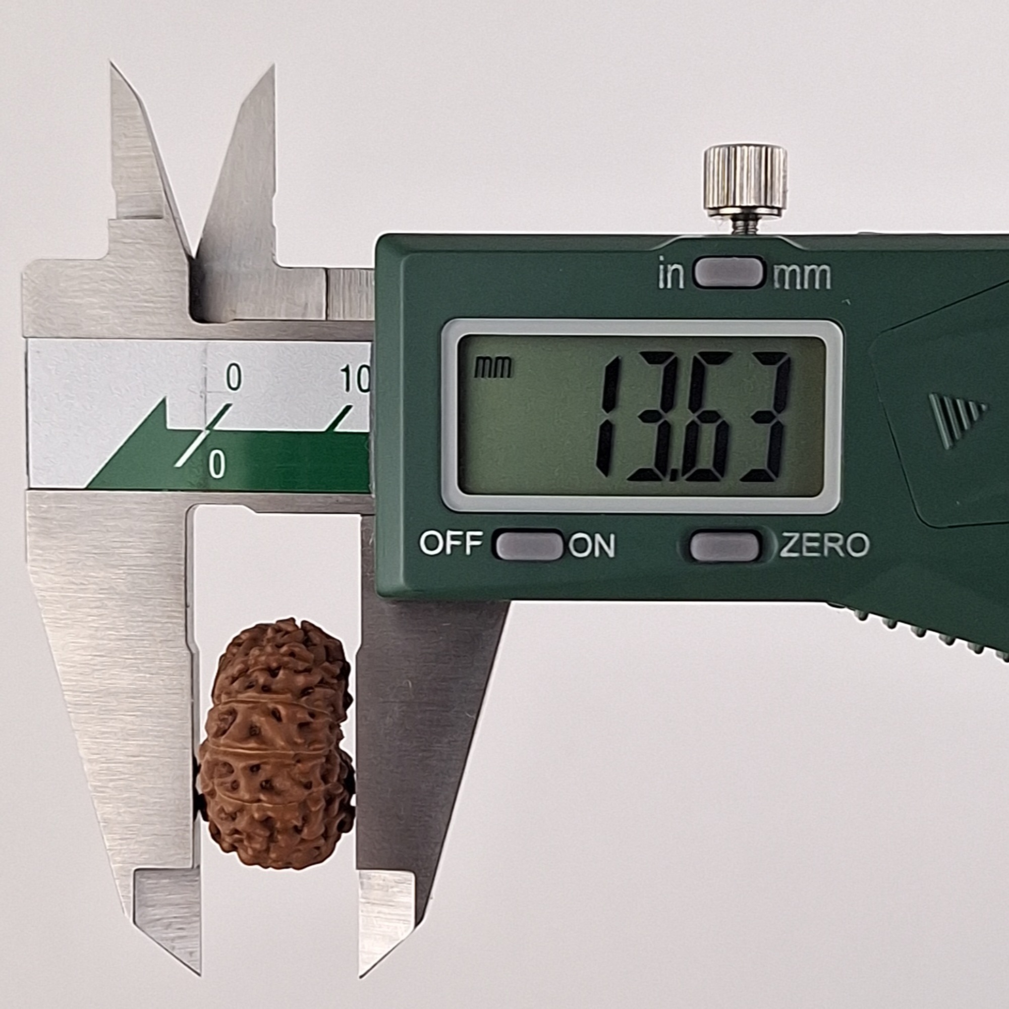 12 Mukhi Java Rudraksha 13.63 mm depth measurement