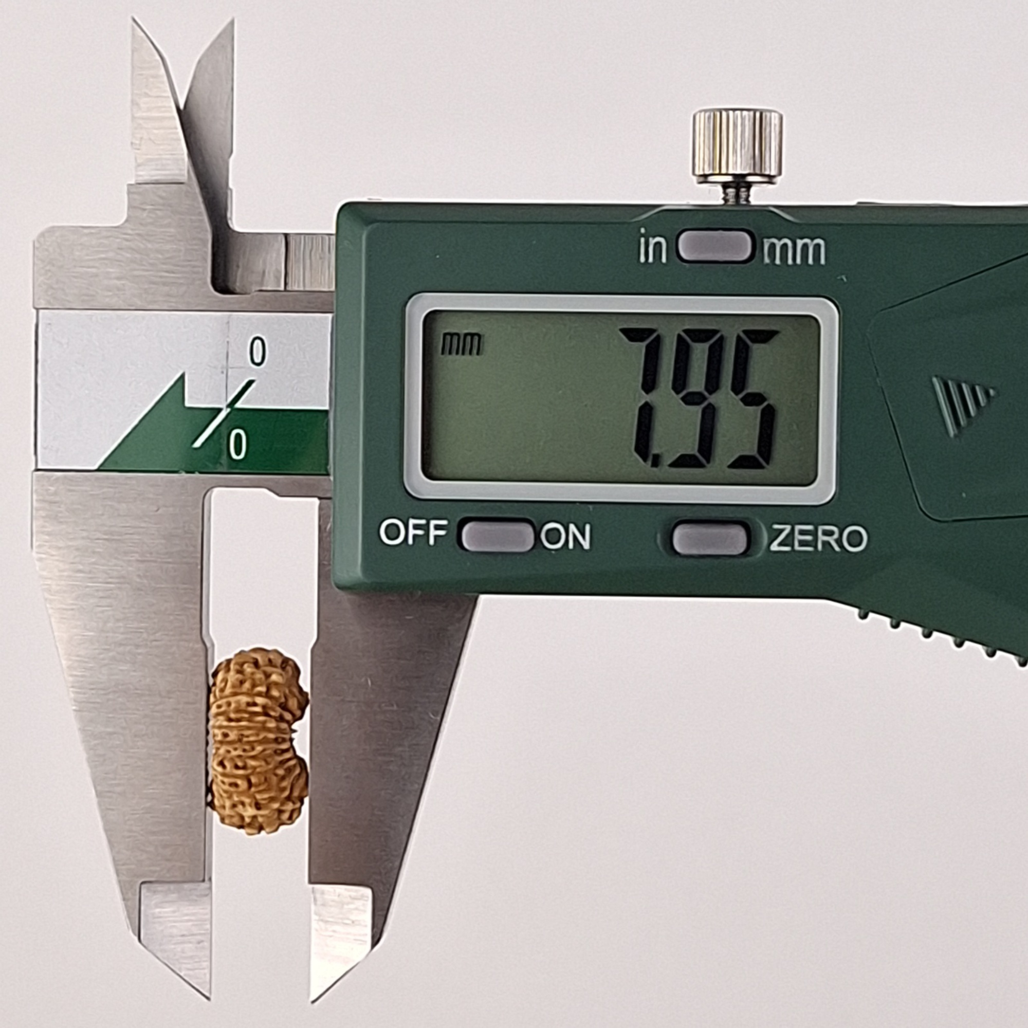 20 Mukhi Java Rudraksha 7.95 mm depth measurement