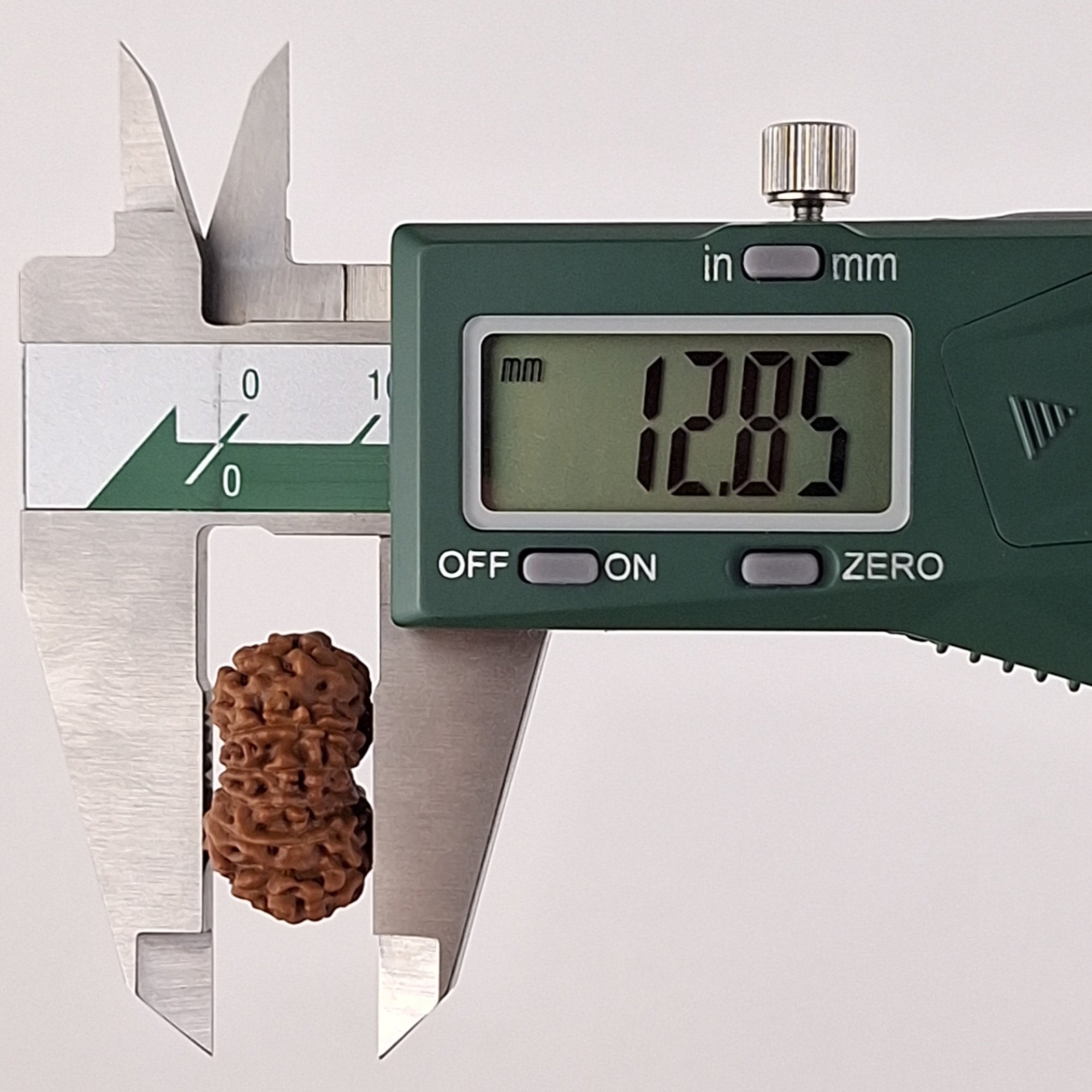 12 Mukhi Java Rudraksha 12.85 mm depth measurement