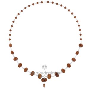 Siddha Mala SM32 1–14 Mukhi Java Rudraksha front view with silver links and Ek Mukhi pendant