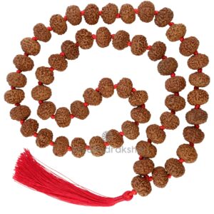 9 Mukhi Java Rudraksha Mala 54 beads 20 mm front view